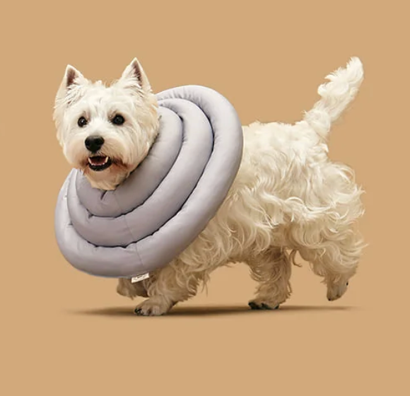 Arrr neck cone - UFO Neckar