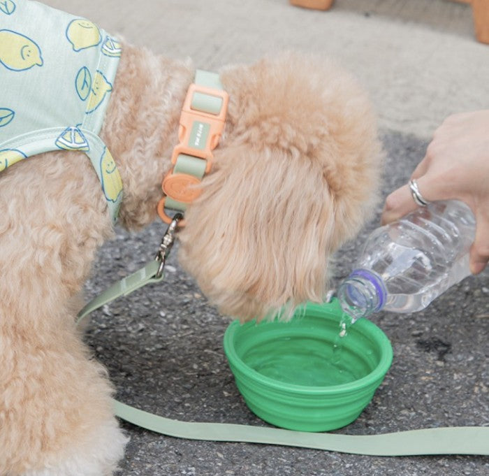 BITE ME collapsible water bowl pastel & neon colors for pets