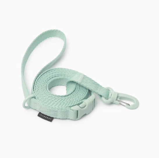 INHERENT KOREA Multifunction Hands - free dog Leash