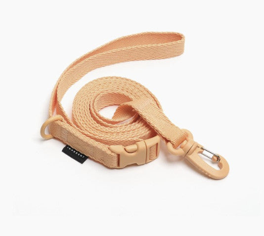 INHERENT KOREA Multifunction Hands - free dog Leash