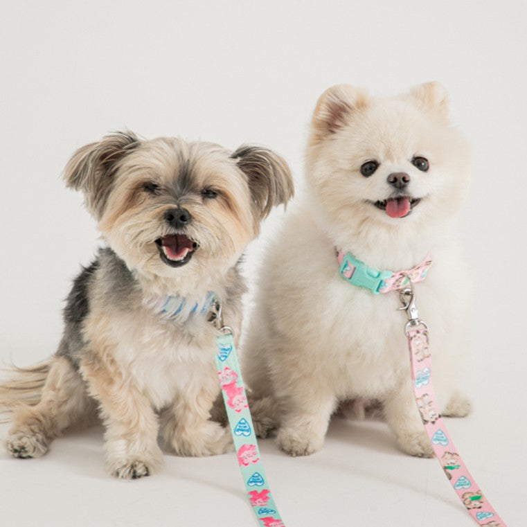 Bite Me - Pokori Friends Collar Dogs & Cats
