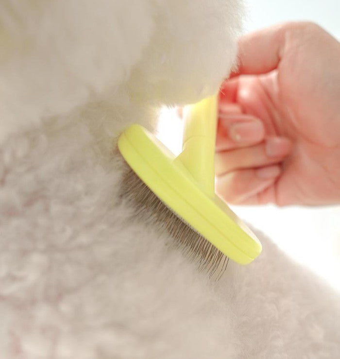 BITE ME x Arang Brush Slicker