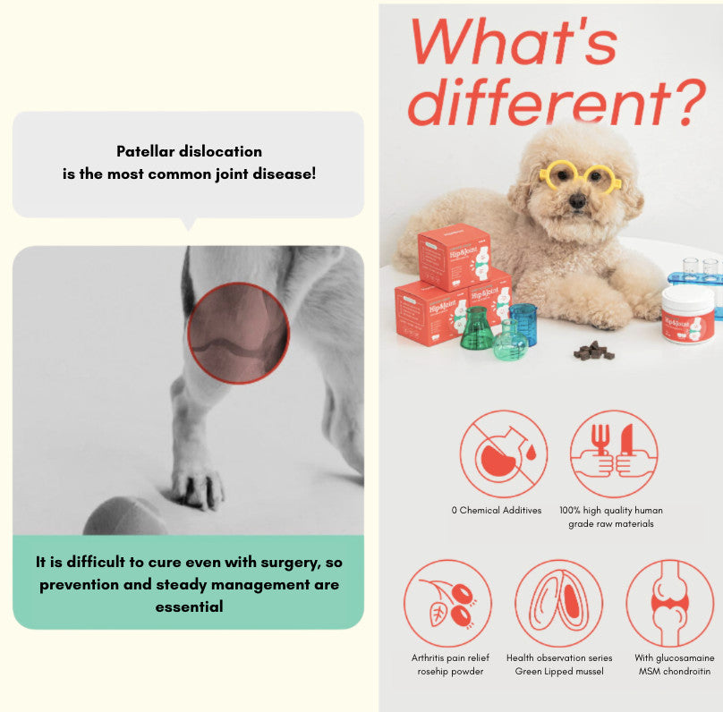 BITE ME - Support Chew Supplement for Dogs & Cats