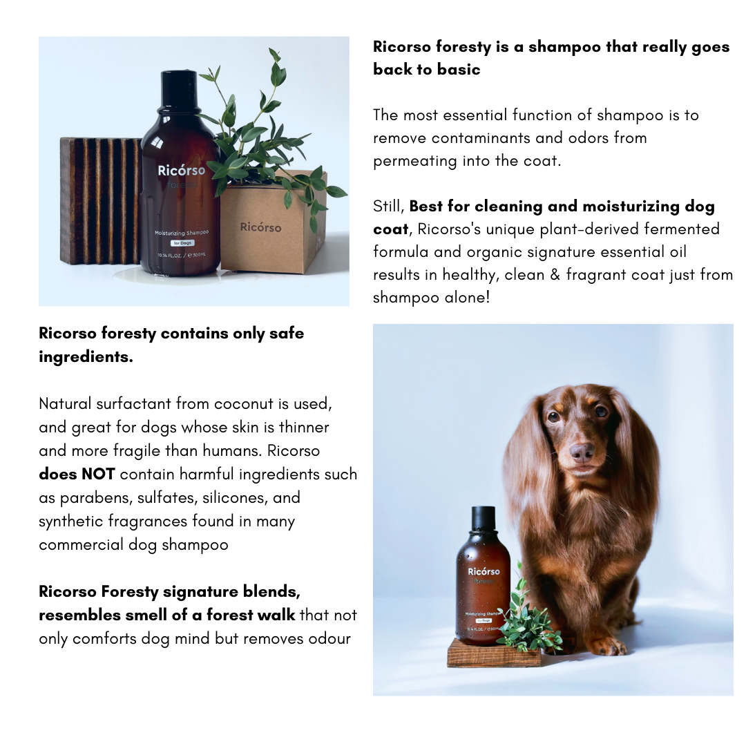 Ricorso Korea - Foresty premium Shampoo for normal & sensitive dog