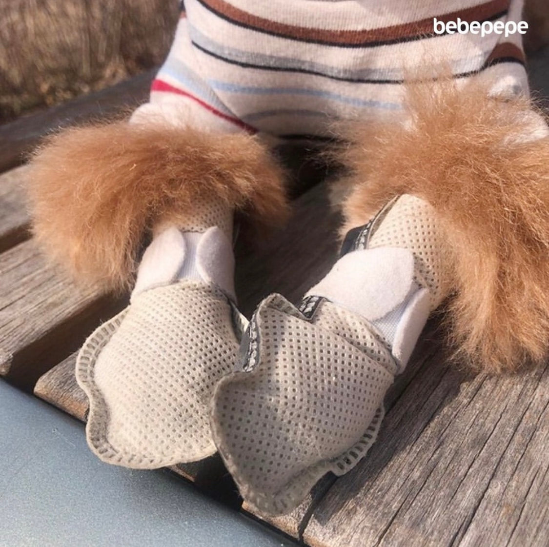 Bebepepe - go go shoes dog shoes non-slip dog socks disposable shoes
