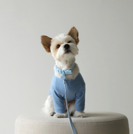 INHERENT KOREA - Macaron Dog Collar