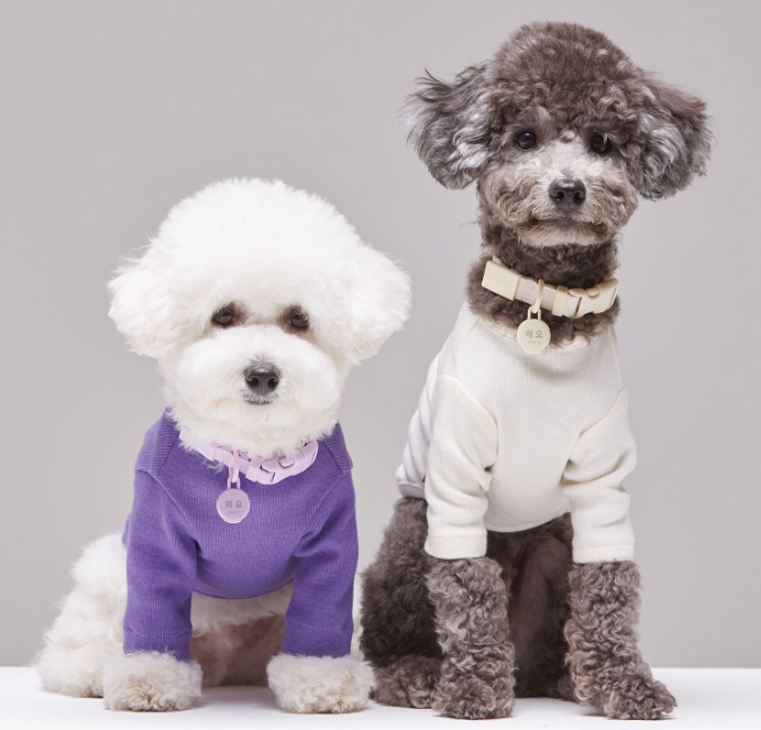 INHERENT KOREA - Macaron Dog Collar