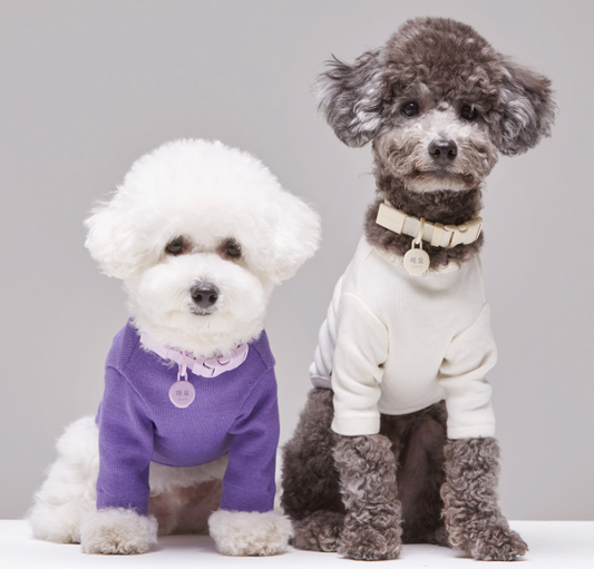 INHERENT KOREA - Macaron Dog Collar