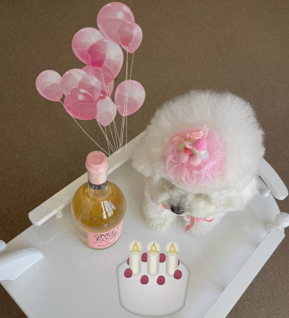 Hug me more - Pompom party Hat