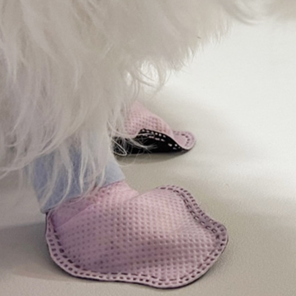 Bebepepe - go go shoes dog shoes non-slip dog socks disposable shoes