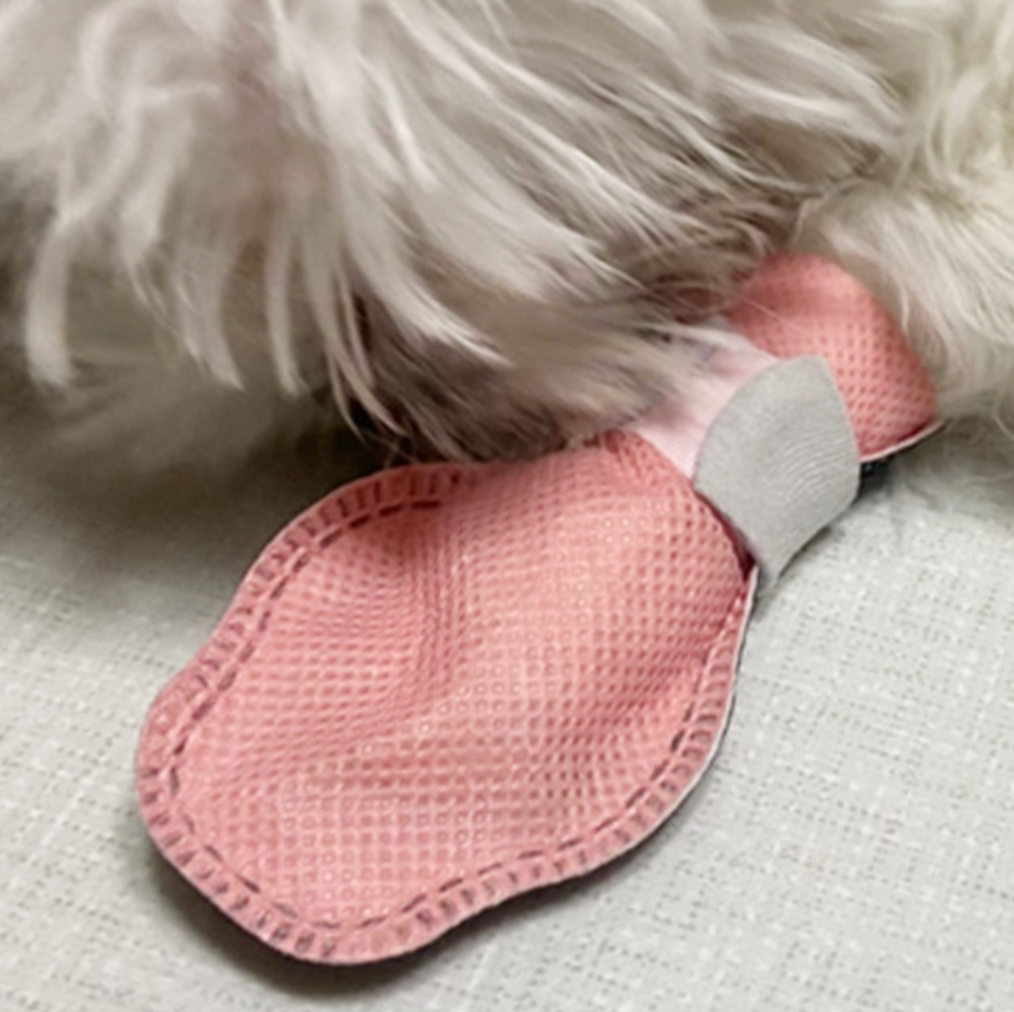 Bebepepe - go go shoes dog shoes non-slip dog socks disposable shoes