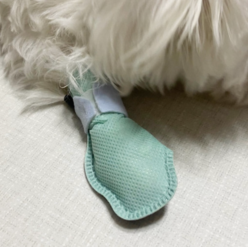 Bebepepe - go go shoes dog shoes non-slip dog socks disposable shoes