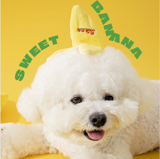 Bite Me - Banana Nosework Toy (Rustle/Squeak) for Dogs & Cats