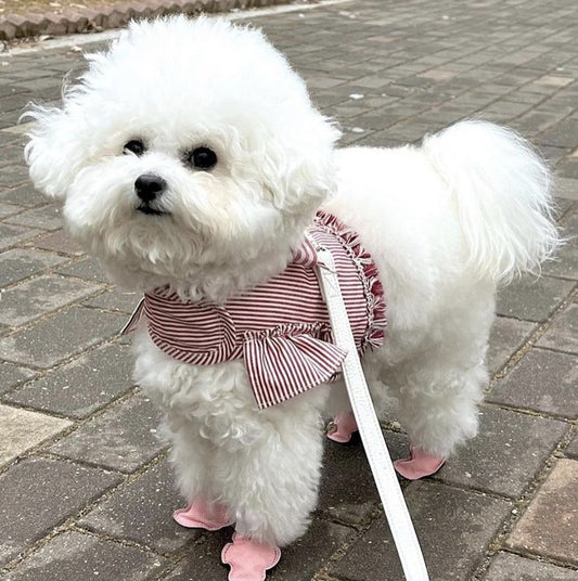 Bebepepe - go go shoes dog shoes non-slip dog socks disposable shoes