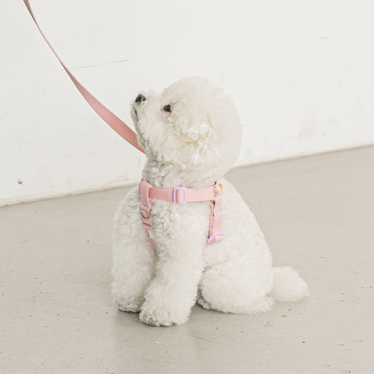 BITE ME - Candy crayon dog harness