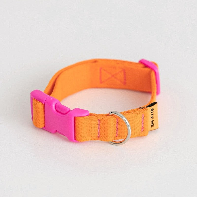 BITE ME - Candy crayon collar for dogs