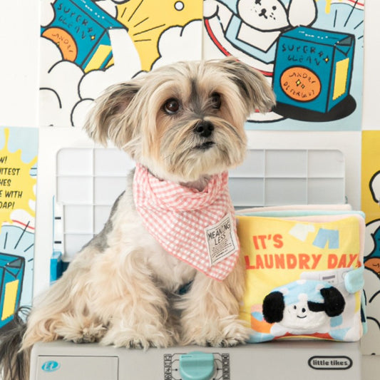 BITE ME - It's Laundry Day Nosework Playbook