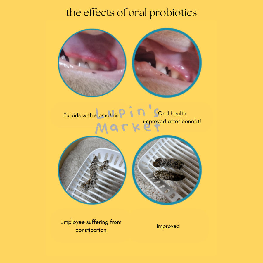 Bite Me - Oral Effect Probiotics Oral Lactobacillus