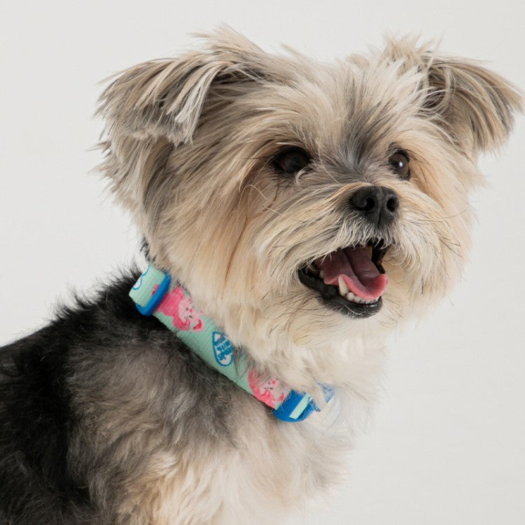 Bite Me - Pokori Friends Collar Dogs & Cats
