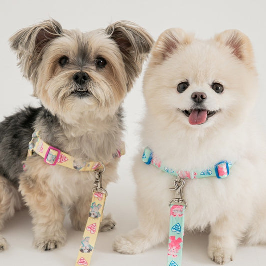 Bite Me - Pokori Friends Harness Dogs & Cats