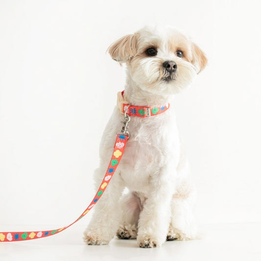 BiteMe X PiPiPi Studio Collar Dogs & Cats
