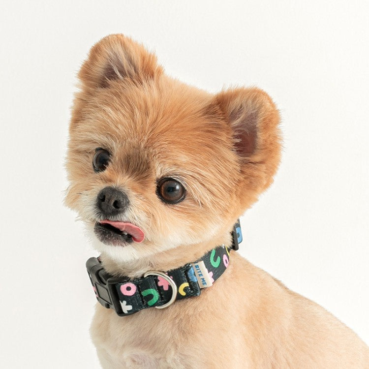 BiteMe X PiPiPi Studio Collar Dogs & Cats