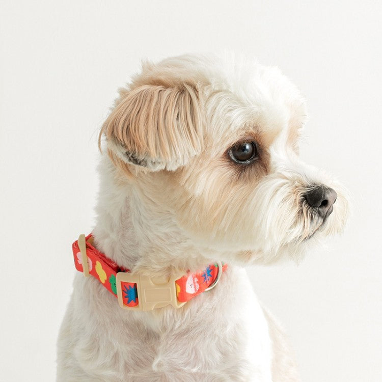 BiteMe X PiPiPi Studio Collar Dogs & Cats