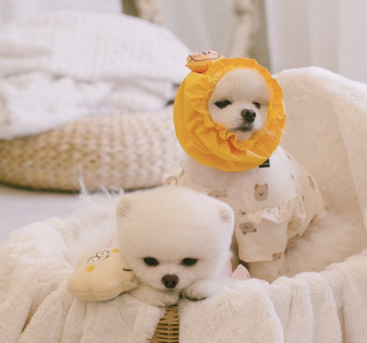 ODD STUDIO - Waterproof Hairband Snoods