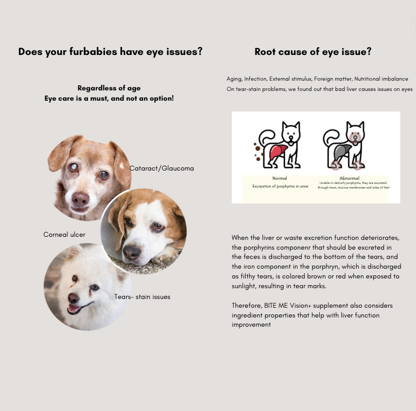 BITE ME - Support Chew Supplement for Dogs & Cats