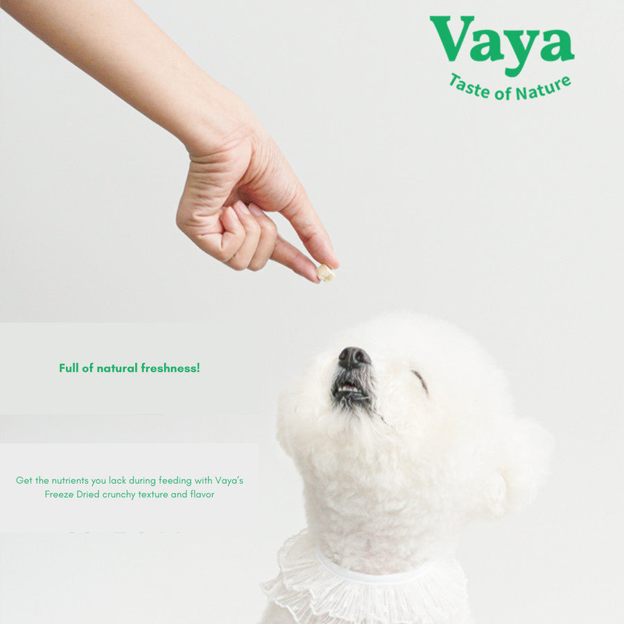 Vaya - Freeze Dried Snacks Treats