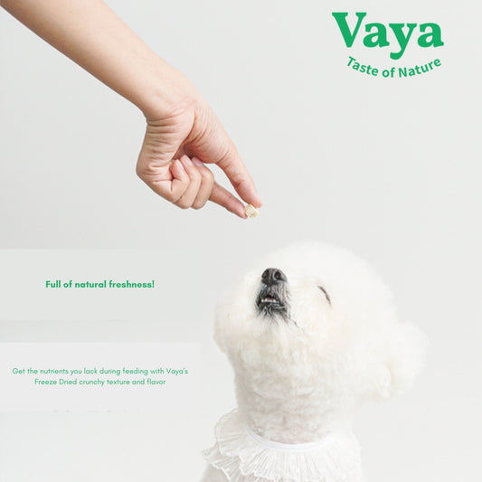 Vaya - Freeze Dried Snacks Treats