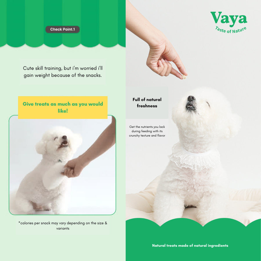 Vaya - Freeze Dried Snacks Treats
