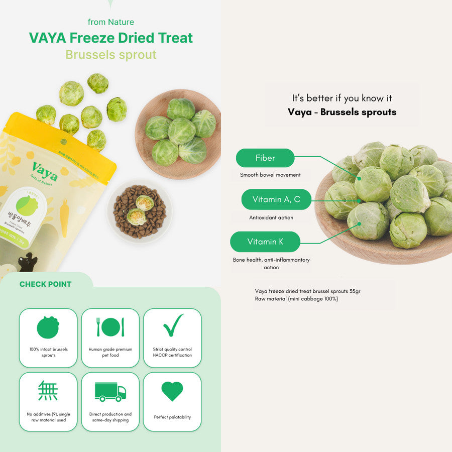 Vaya - Freeze Dried Snacks Treats