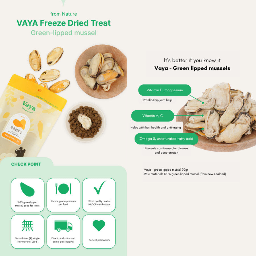 Vaya - Freeze Dried Snacks Treats