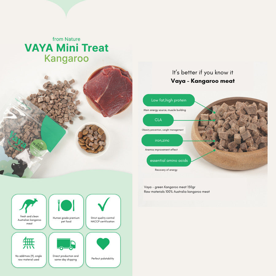 Vaya - Freeze Dried Snacks Treats