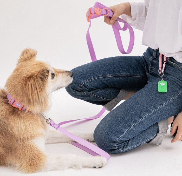 BITE ME - new XO Waterproof Hands Free Leash