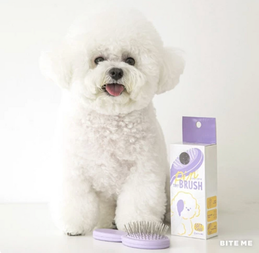 BITE ME x Arang Pin Brush for dogs